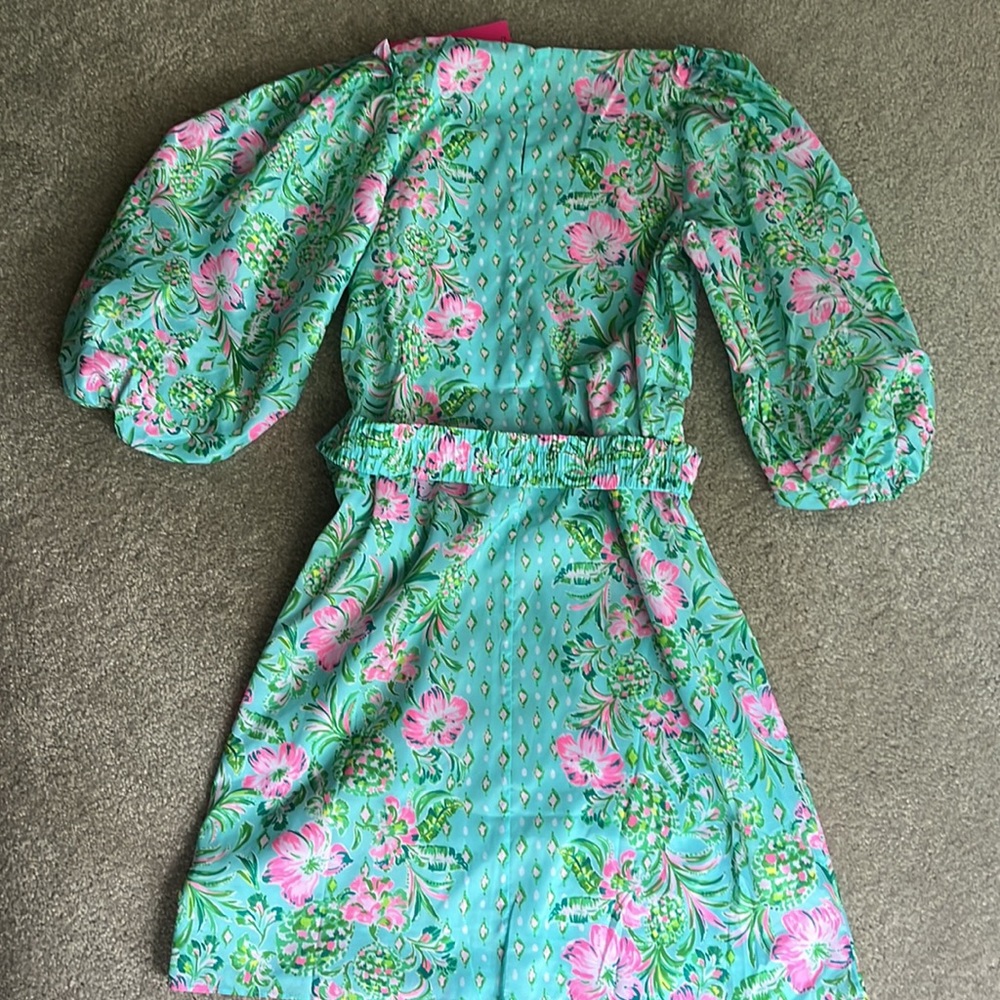 NWT Lilly Pulitzer dress sz xs - Picture 4 of 4